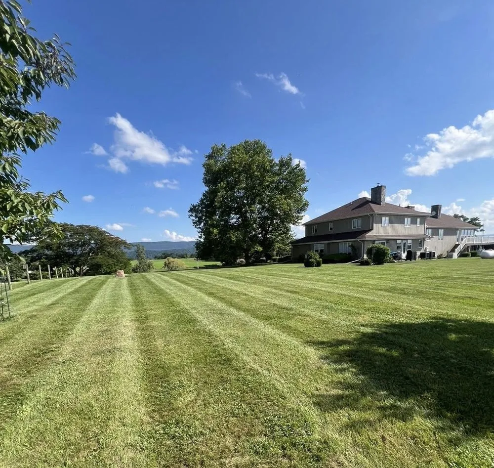 Expert lawn mowing service for homes in Peterstown, WV by Clarkson