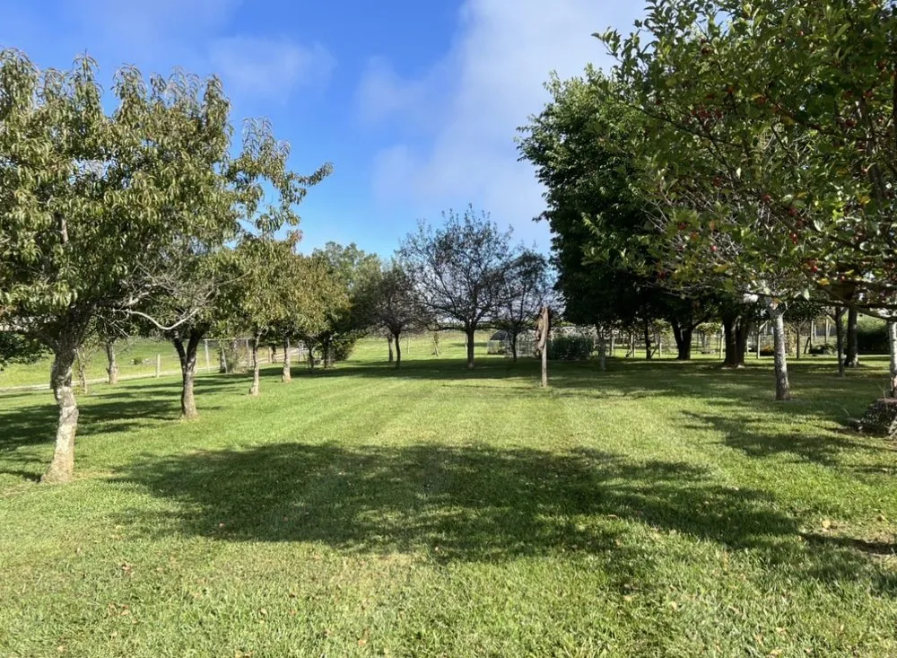 Reliable residential landscaping for beautiful yards across Peterstown, WV - Clarkson