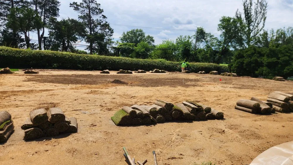 Affordable yard cleanup service in Sterling, VA by Claros Landscaping