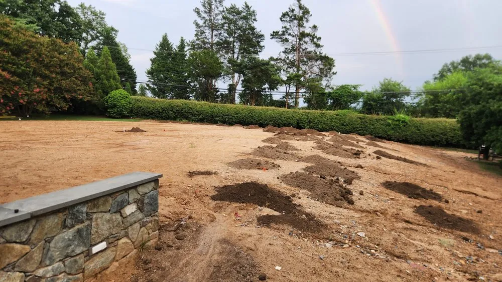 Expert yard maintenance in Sterling, VA - Claros Landscaping