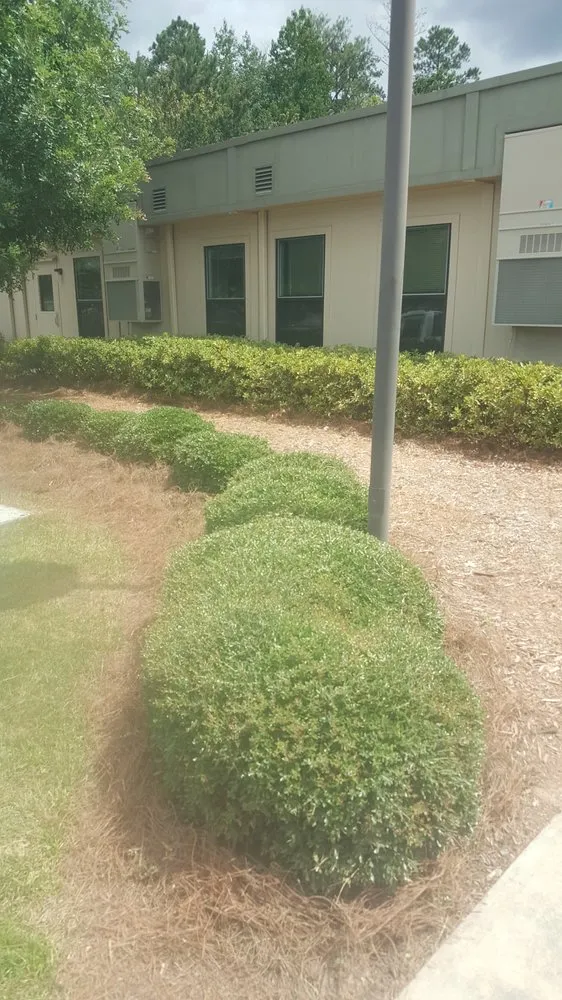 Affordable yard maintenance in Jonesboro, GA by Class A Landscaping