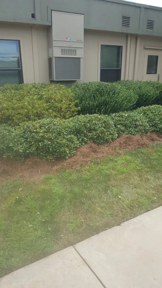 Top-rated lawn mowing service experts serving Jonesboro, GA - Class A Landscaping