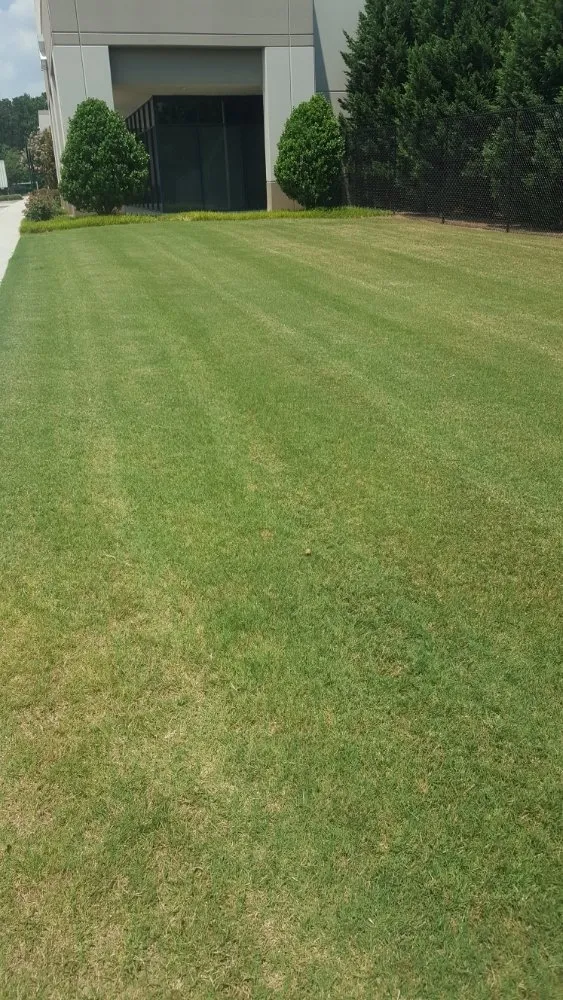 Custom landscape installation in Jonesboro, GA by Class A Landscaping