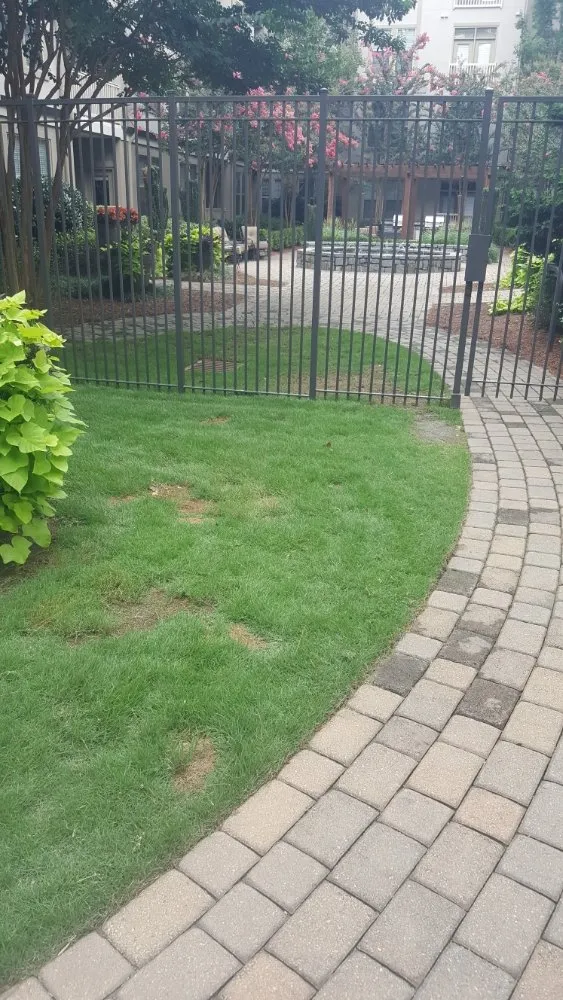 Trusted lawn care service in Jonesboro, GA - Class A Landscaping