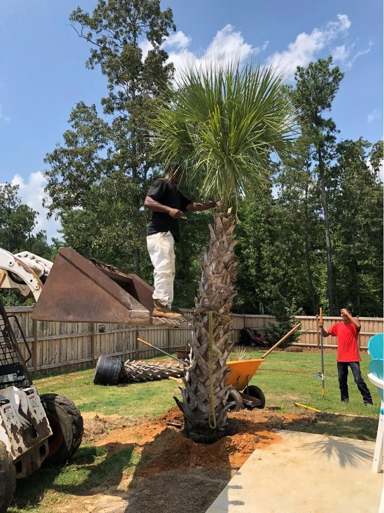 Professional garden landscaping in Clayton, NC by Classic Contours Landscaping Company