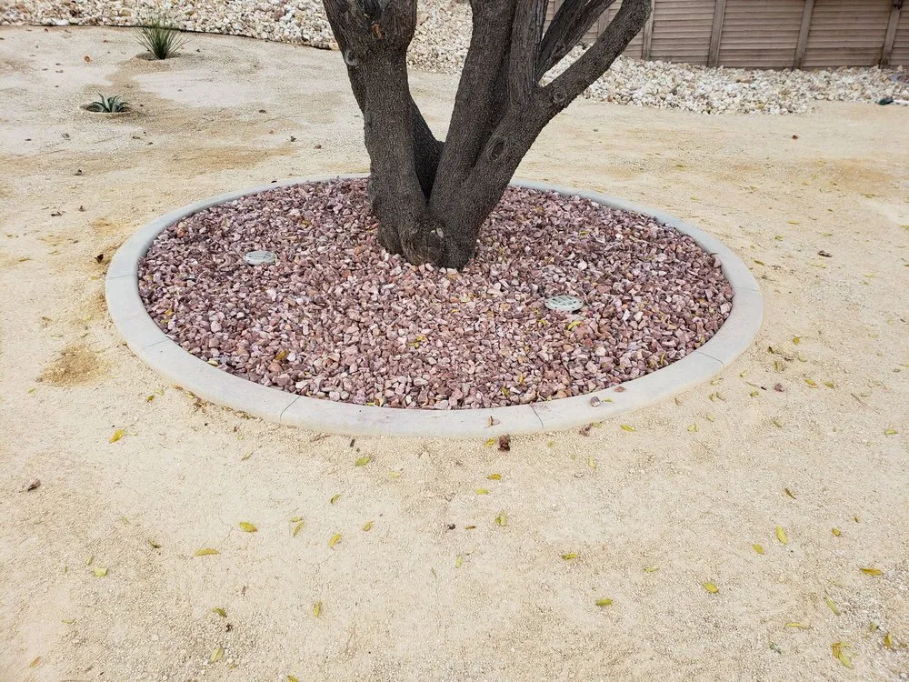 Affordable lawn care service in Rosamond, CA - Classic Curb