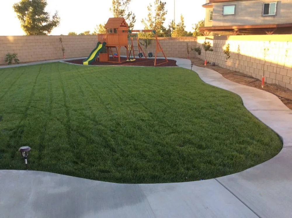 Top-rated landscaping services experts serving Rosamond, CA - Classic Curb