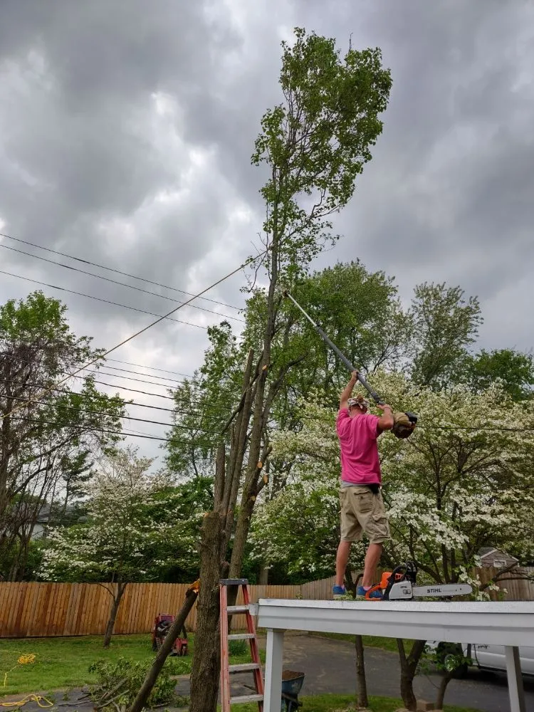 Custom landscape design in Lexington, KY by Classic Cut Landscape Services