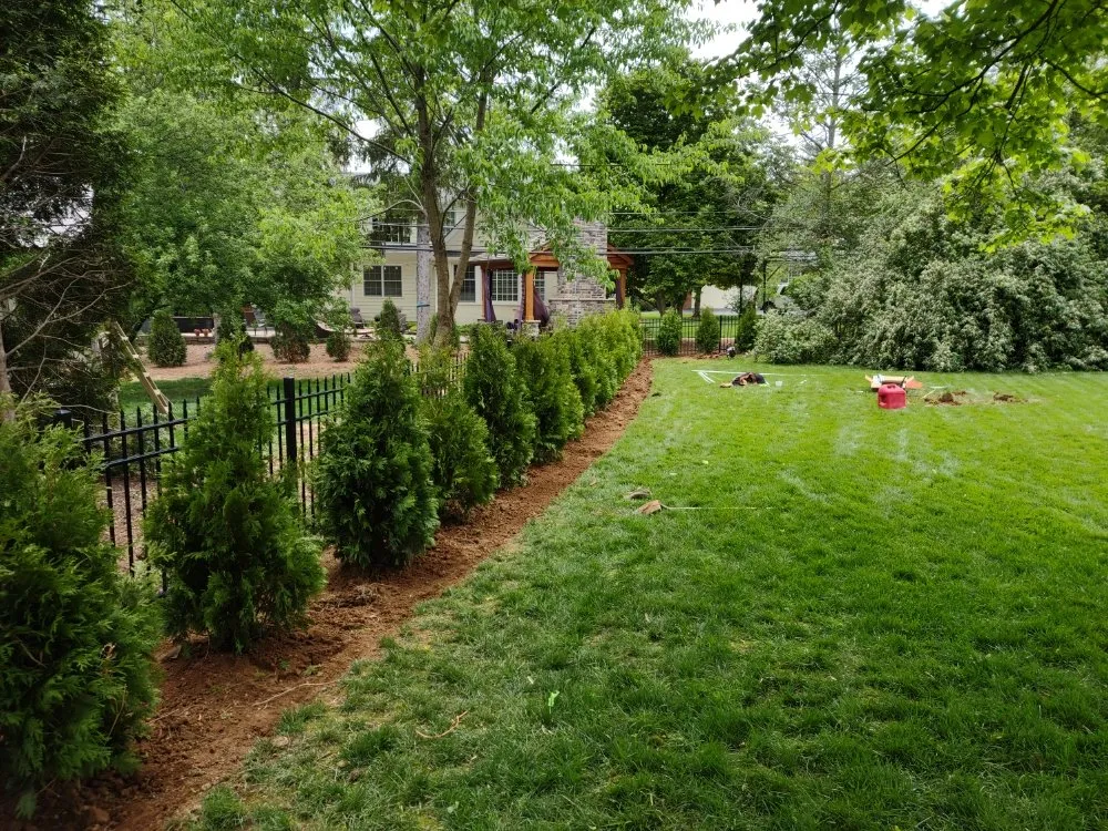 Reliable landscape installation in Lexington, KY by Classic Cut Landscape Services
