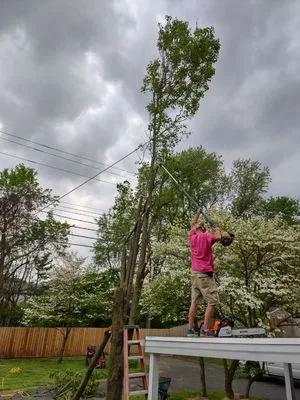 Classic Cut Landscape Services Logo