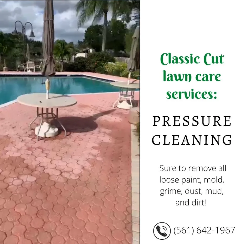 Professional landscape design with custom design across Deerfield Beach, FL - Classic Cut Lawn Care Services