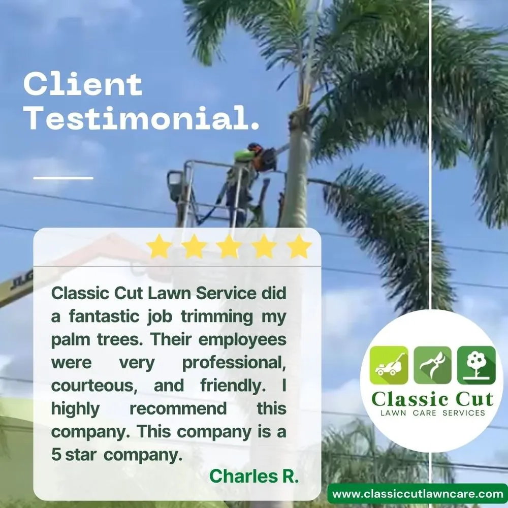 Reliable landscaping services with custom design in Deerfield Beach, FL by Classic Cut Lawn Care Services