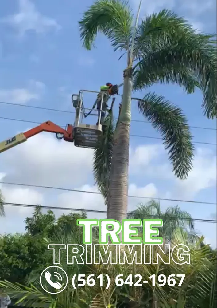 Professional landscape design for outdoor upgrades across Deerfield Beach, FL - Classic Cut Lawn Care Services