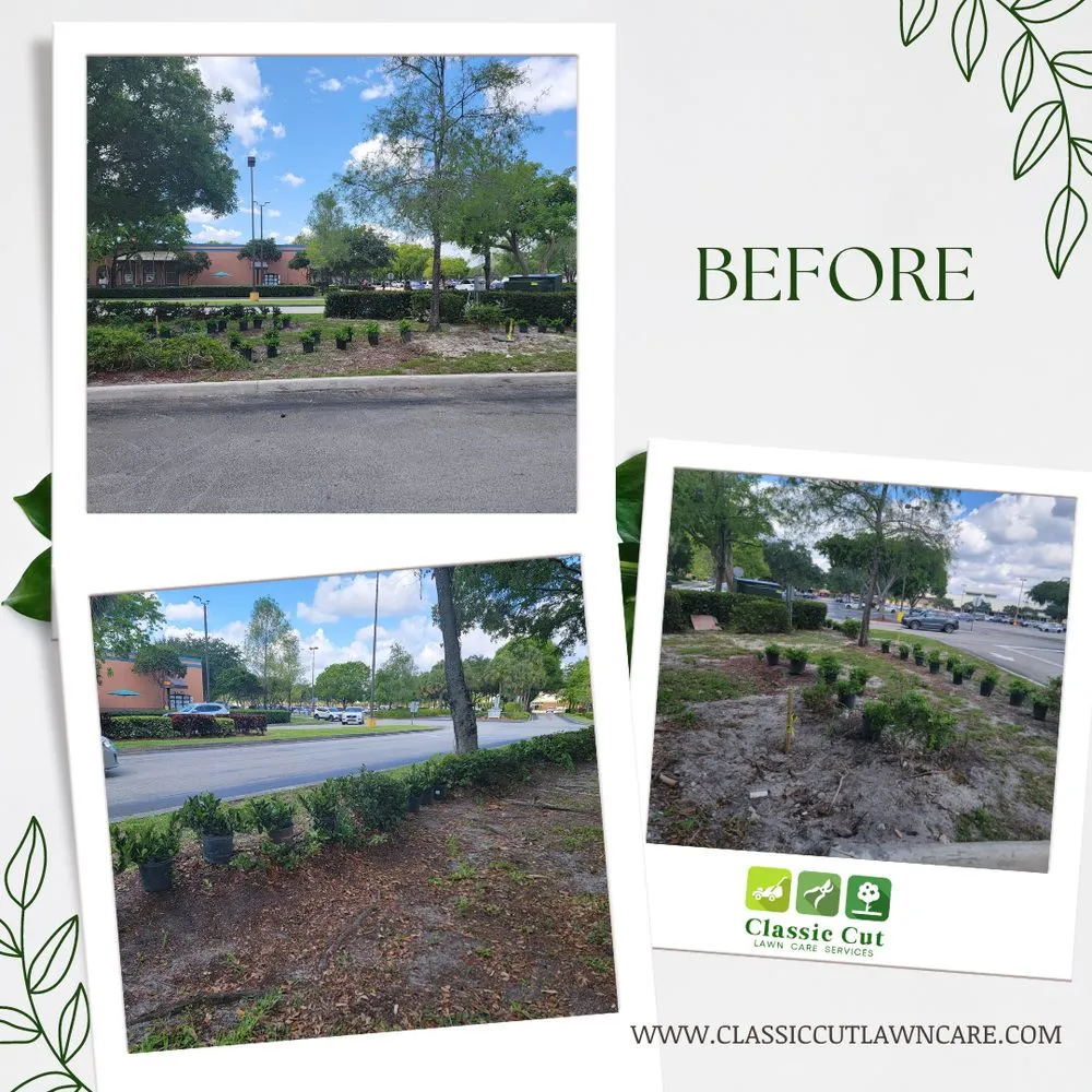 Top-rated yard cleanup service for homes in Deerfield Beach, FL by Classic Cut Lawn Care Services