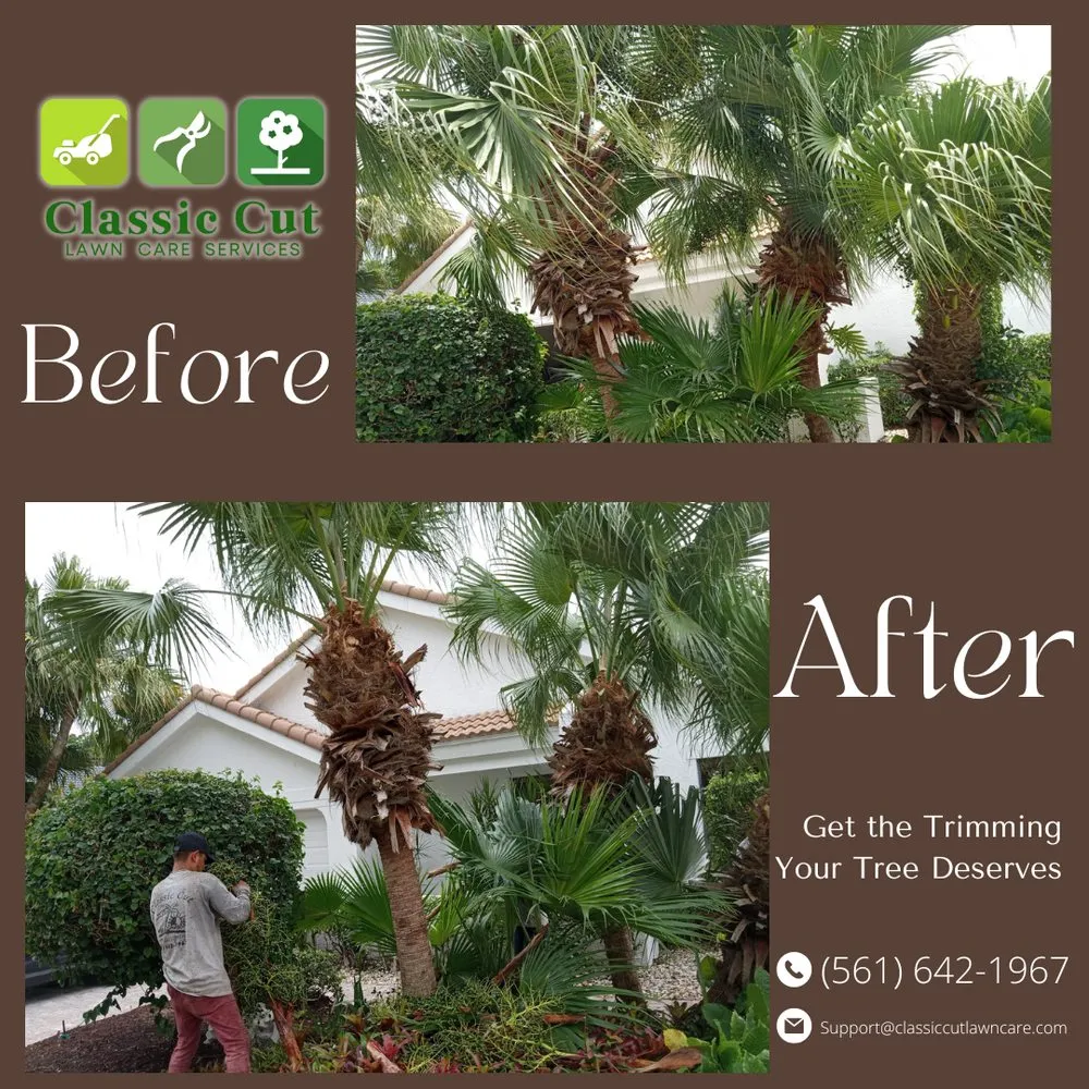 Expert landscape installation for residential properties across Deerfield Beach, FL - Classic Cut Lawn Care Services