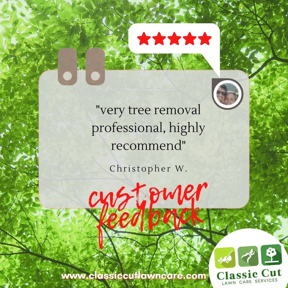 Professional garden landscaping in Deerfield Beach, FL by Classic Cut Lawn Care Services