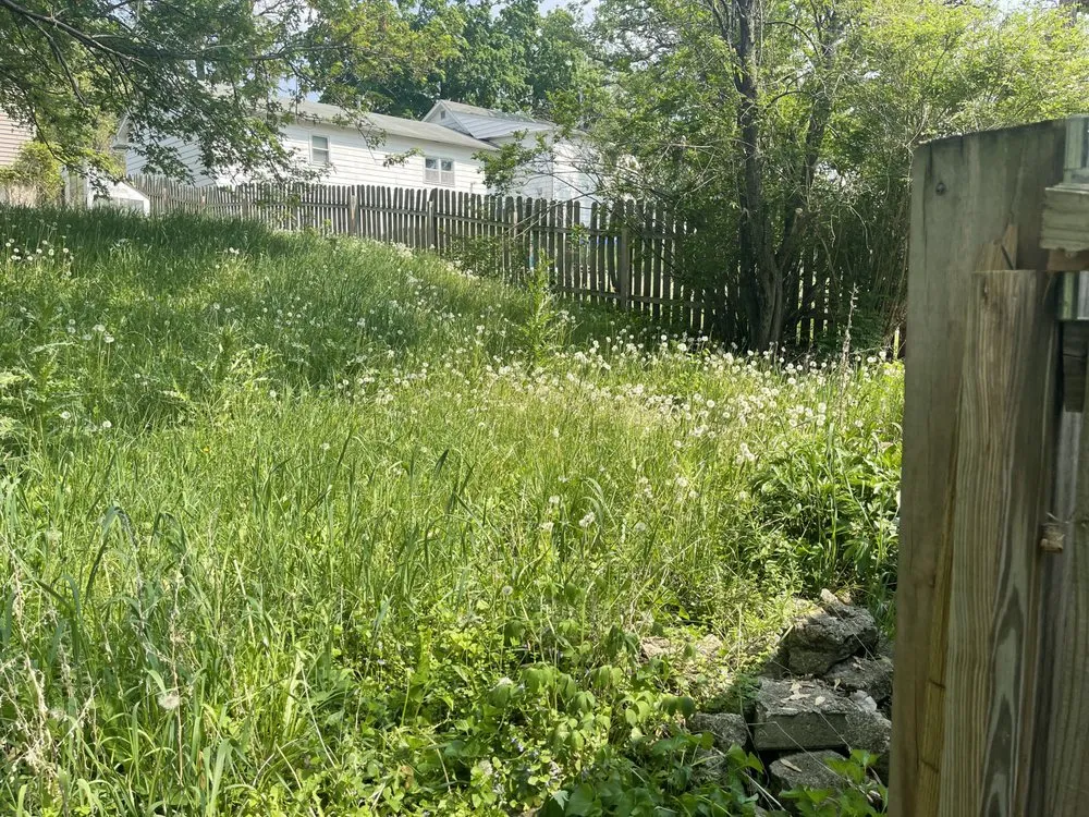 Reliable landscaping services in Atlantic, IA by Classic Cuts