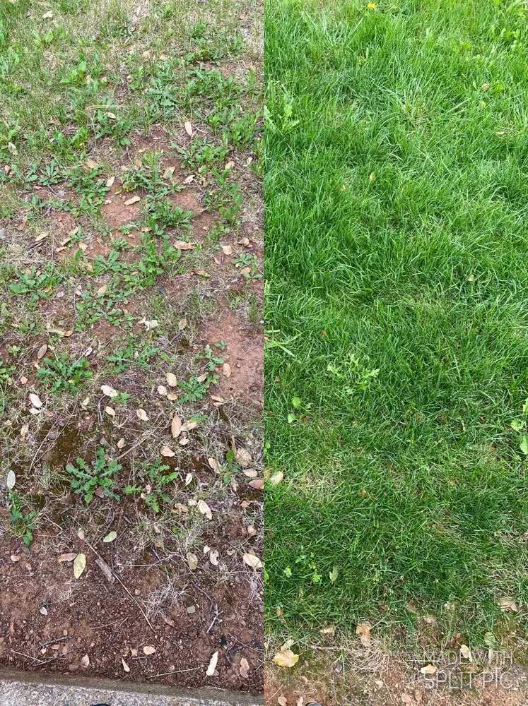 Professional lawn mowing service for beautiful yards across REDDING, CA - Classic Cuts Landscaping