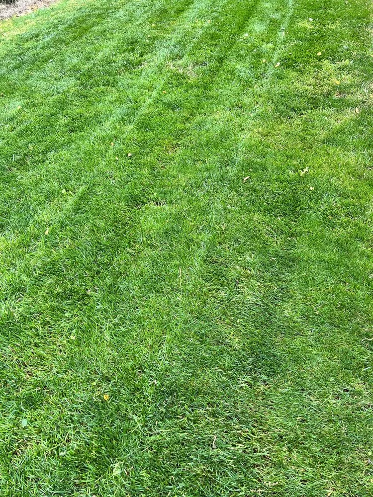 Custom residential landscaping experts serving REDDING, CA - Classic Cuts Landscaping