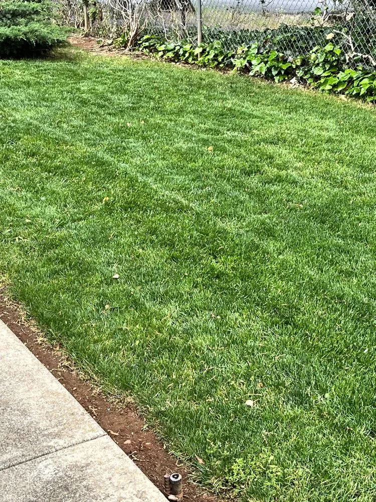 Expert lawn mowing service in REDDING, CA - Classic Cuts Landscaping