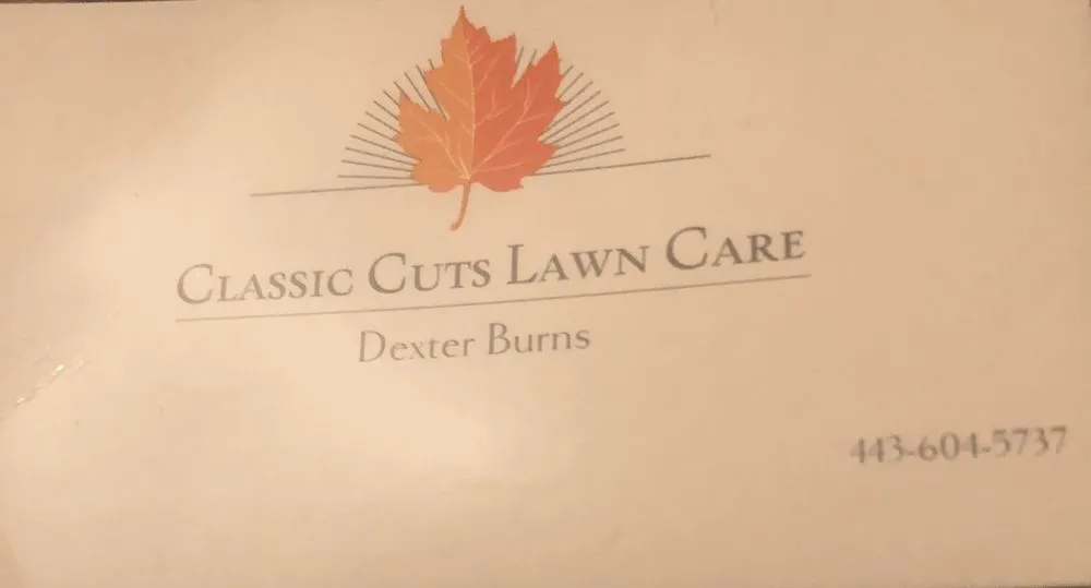 Professional landscape installation for year-round maintenance across Pikesville, MD - Classic Cuts Lawn Care