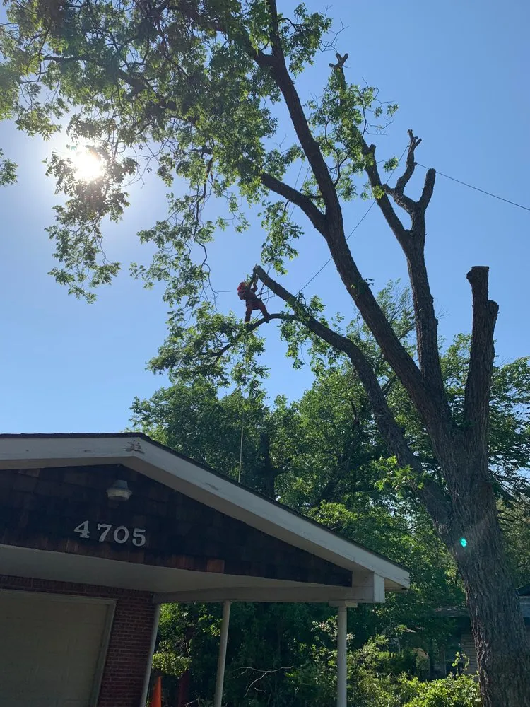 Custom landscaping services in Southlake, TX by Classic Cuts Tree Trimming and Removal