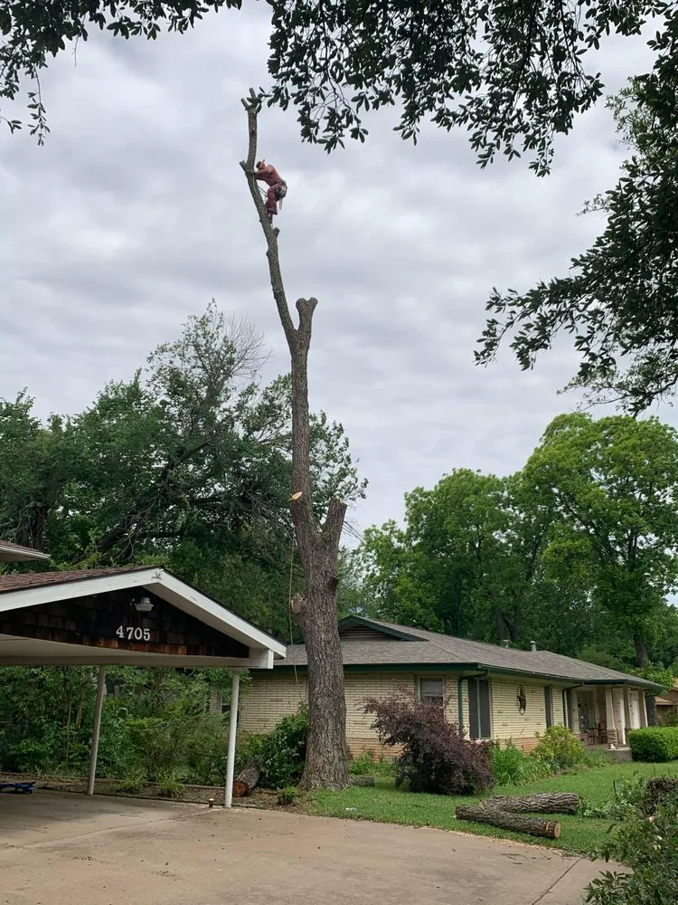 Local garden landscaping near you in Southlake, TX by Classic Cuts Tree Trimming and Removal