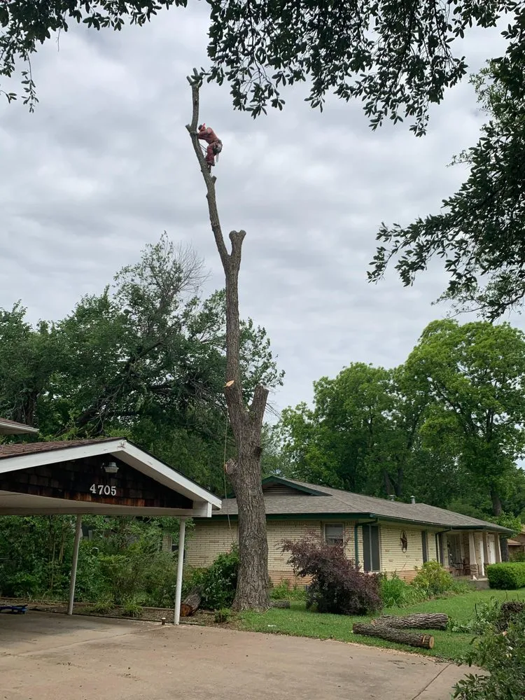 Custom yard maintenance in Southlake, TX by Classic Cuts Tree Trimming and Removal