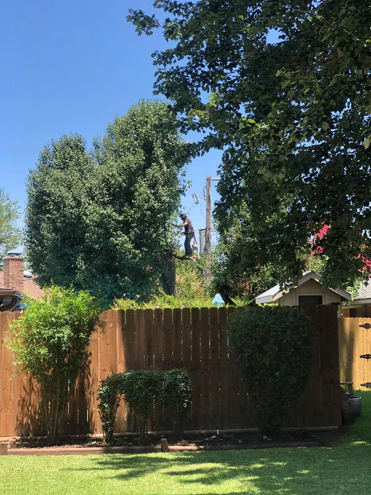 Professional outdoor landscaping in Southlake, TX by Classic Cuts Tree Trimming and Removal