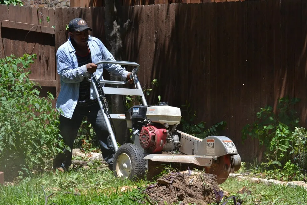 Local yard maintenance for beautiful yards across Southlake, TX - Classic Cuts Tree Trimming and Removal