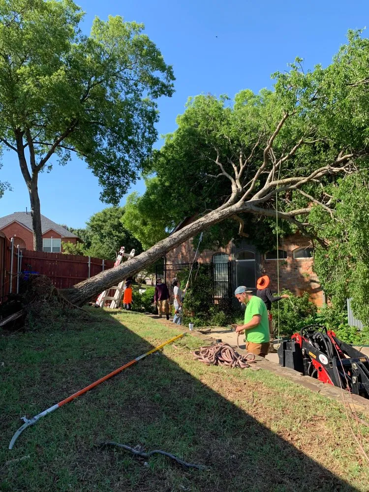 Trusted lawn care service in Southlake, TX by Classic Cuts Tree Trimming and Removal