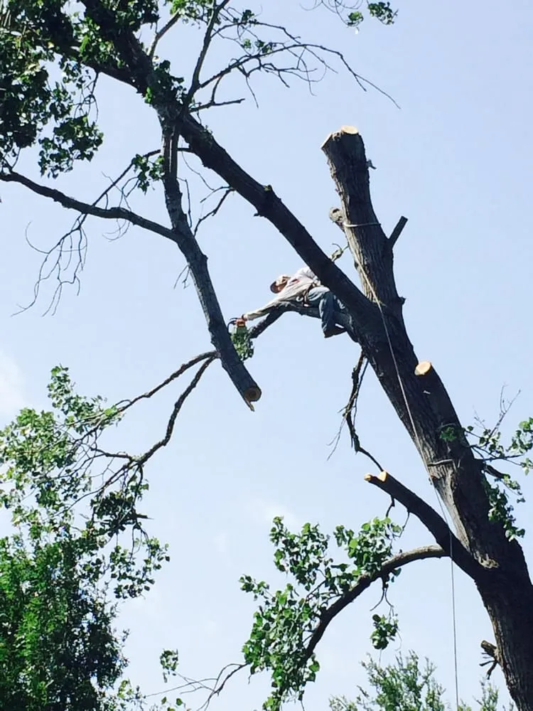 Expert landscaping services for residential properties in Southlake, TX by Classic Cuts Tree Trimming and Removal