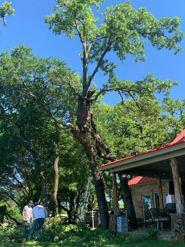 Custom landscape design for residential properties in Southlake, TX by Classic Cuts Tree Trimming and Removal