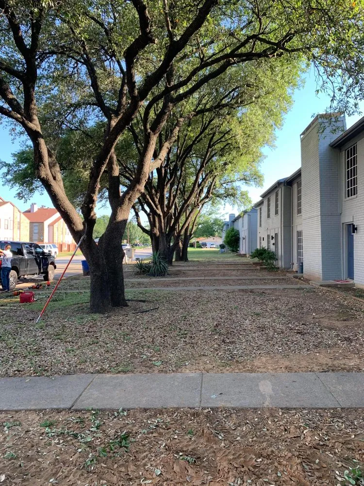 Local landscape design in Southlake, TX - Classic Cuts Tree Trimming and Removal