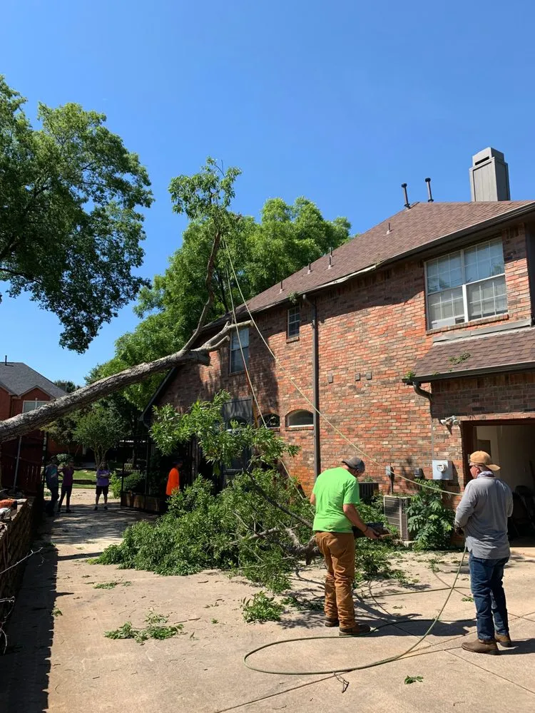 Top-rated landscape design for outdoor upgrades in Southlake, TX by Classic Cuts Tree Trimming and Removal
