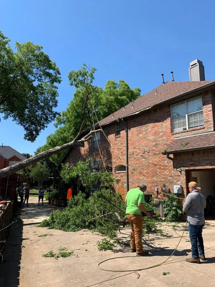 Reliable landscape design in Southlake, TX - Classic Cuts Tree Trimming and Removal