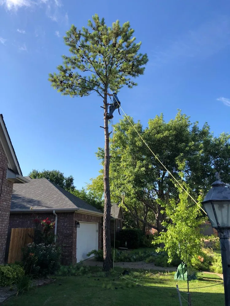 Custom yard maintenance in Southlake, TX - Classic Cuts Tree Trimming and Removal