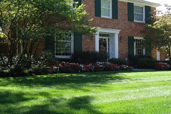 Classic Design Lawn and Landscaping