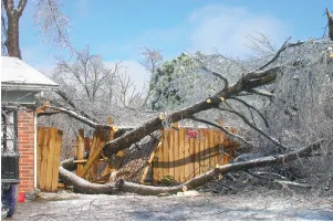 Trusted yard cleanup service for homes across Sterling, VA - Classic Drainage