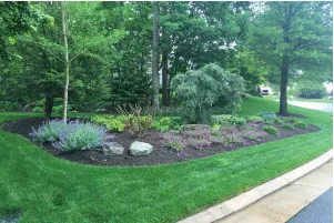 Affordable lawn care service in Sterling, VA - Classic Drainage