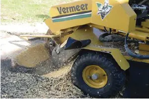 Trusted yard cleanup service in Sterling, VA - Classic Drainage