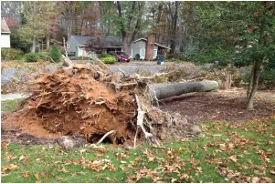 Reliable landscape design in Sterling, VA by Classic Drainage