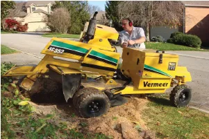 Custom residential landscaping in Sterling, VA - Classic Drainage