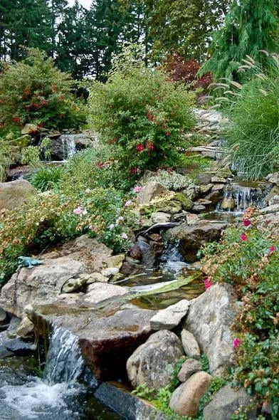 Top-rated outdoor landscaping for year-round maintenance in Forest Grove, OR by Classic Garden Creations