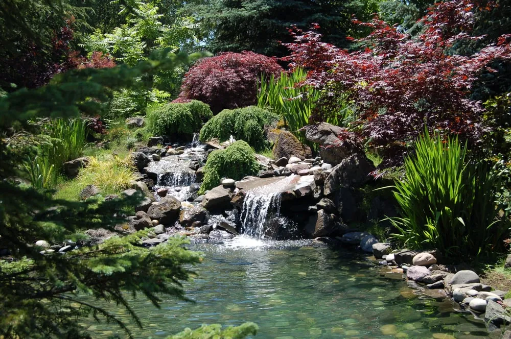 Trusted landscaping services experts serving Forest Grove, OR - Classic Garden Creations