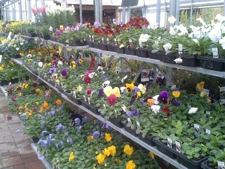 Professional yard maintenance for year-round maintenance across Birmingham, AL - Classic Gardens & Landscape