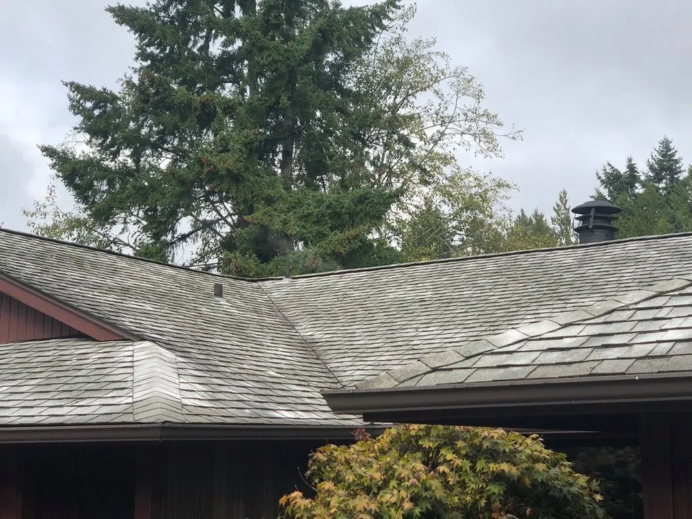 Professional lawn care service for beautiful yards across Poulsbo, WA - Classic Grounds Care