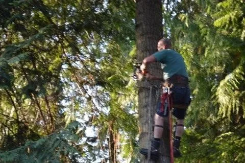 Trusted yard cleanup service in Poulsbo, WA by Classic Grounds Care