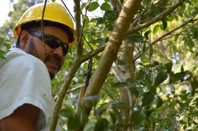 Professional garden landscaping in Poulsbo, WA by Classic Grounds Care