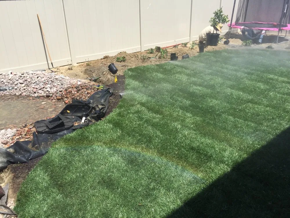 Reliable yard cleanup service experts serving El Cajon, CA - Classic Landscape & Horticulture